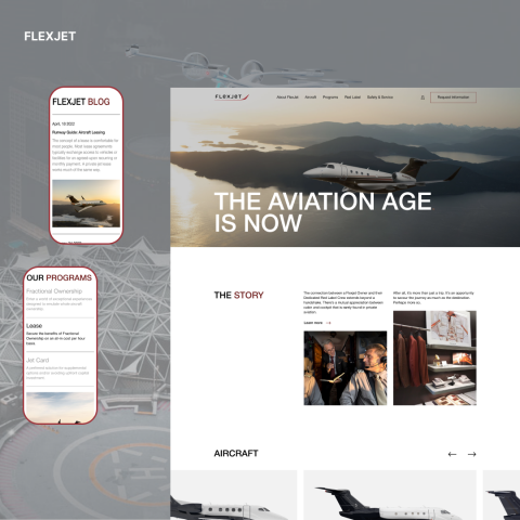 Концепт редизайна "Flexjet"