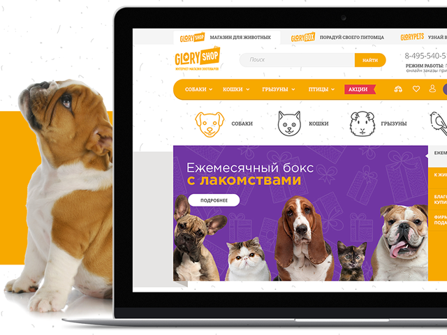 GloryPet - Дизайн интернет-магазина товаров для животных