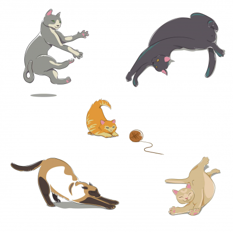 Кошки