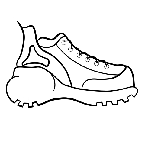 sneakers