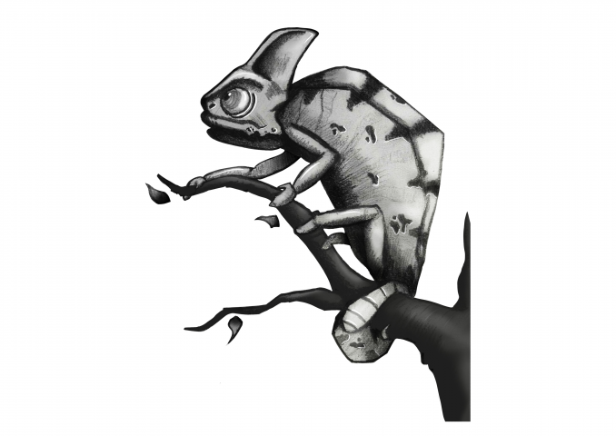 Эскиз (хамелеончик)