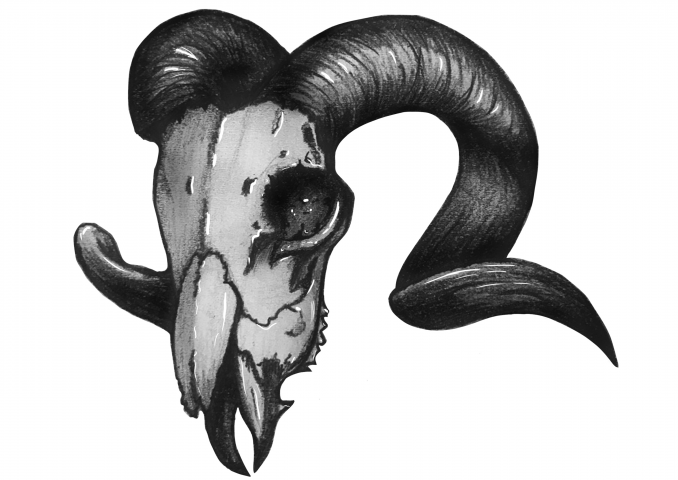 Эскиз (череп)