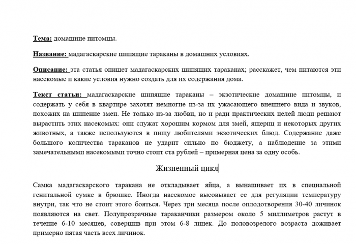 Мадагаскарские тараканы. Содержание в домашних условиях