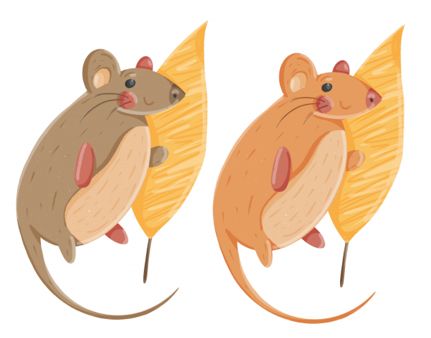 Персонаж для иллюстраций детской сказки