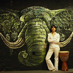 Барабанные мастер-классы, Ивонна Фрейдман