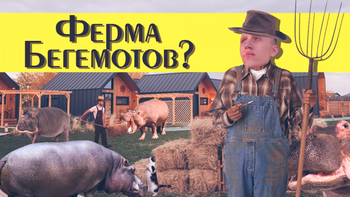 Обложка видео на ютуб