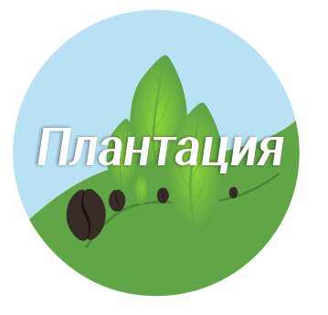 Логотип магазина чая и кофе