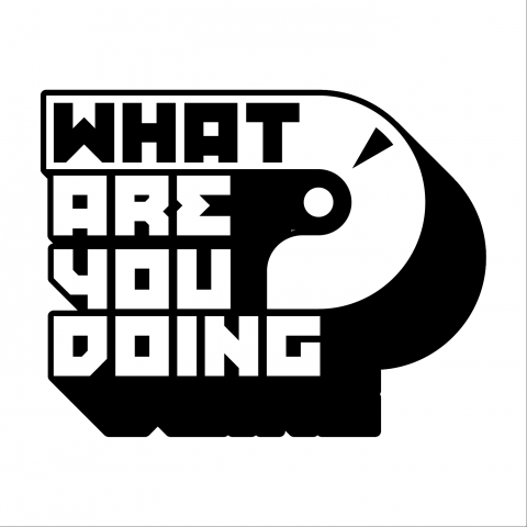 Логотип группы WAUD