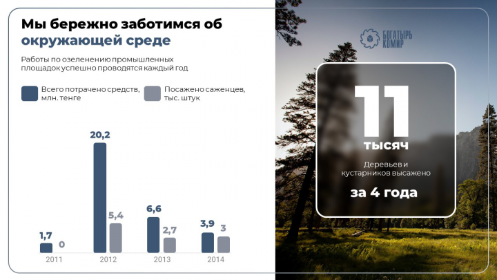 Бизнес-слайд + графика