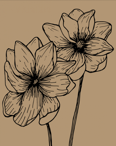 Цветы, нарисованы от руки