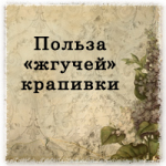 Чем полезна "жгучесть" крапивы?