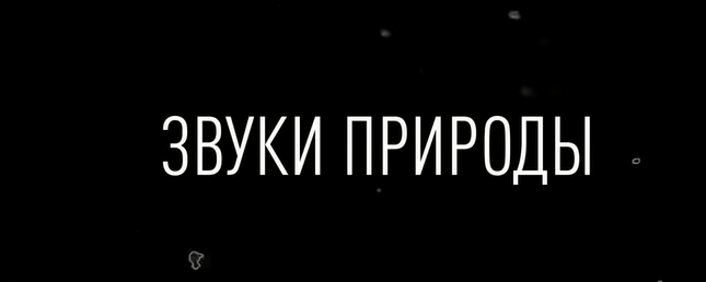«Звуки природы» Диктофон