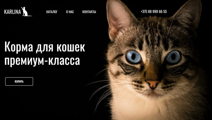 Интернет магазин кормов для кошек
