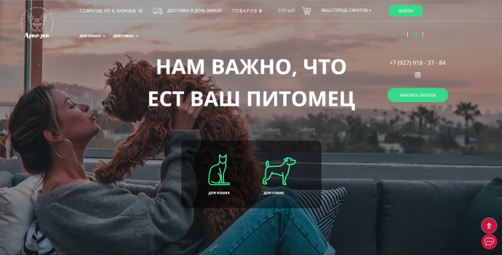Продвижение магазина зоотоваров в Саратове