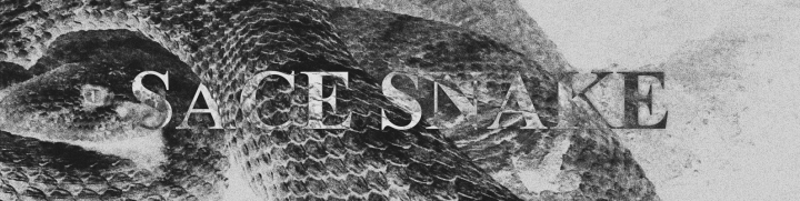 Баннер "Sace Snake"