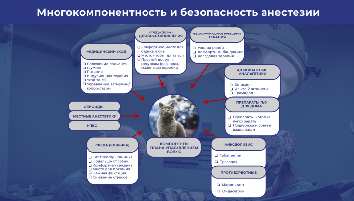 Презентация