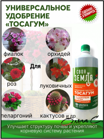 Карточка товара на WB