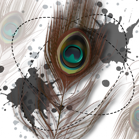 Перо павлина