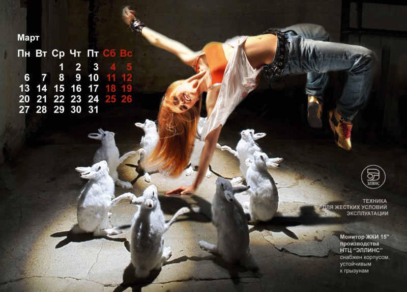 pic2640894.jpg