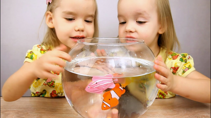 Магазин аквариумных рыб