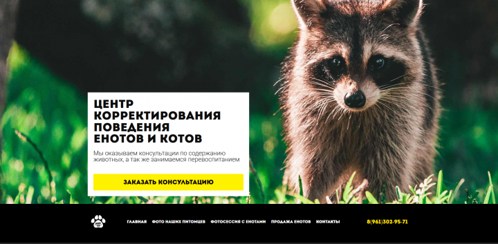 сайт для "центра корректирования поведения енотов и котов"