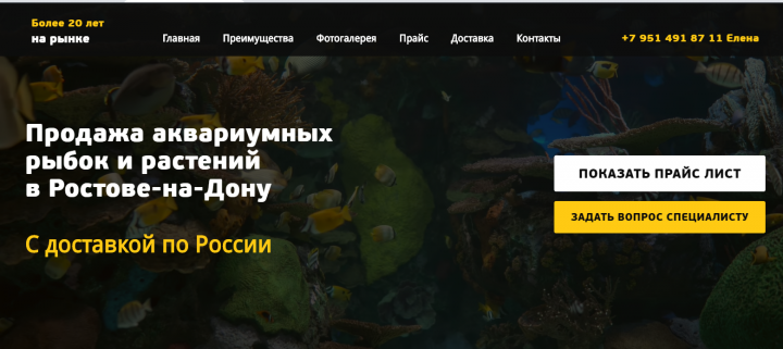 Сайт для продавца аквариумных рыбок