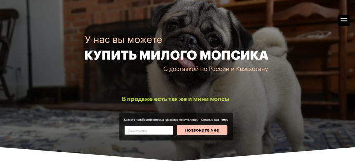 Сайт для питомника с мопсами