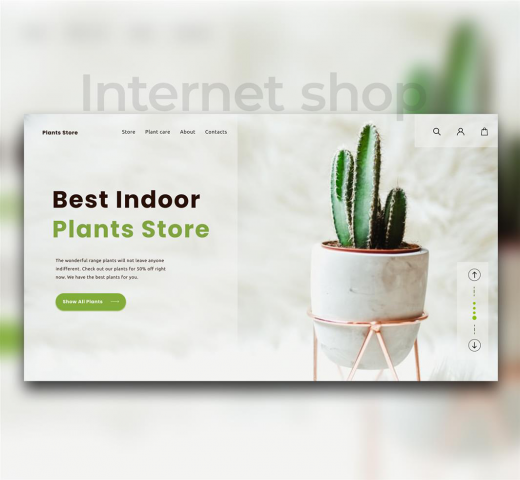 Интернет-магазин комнатных растений