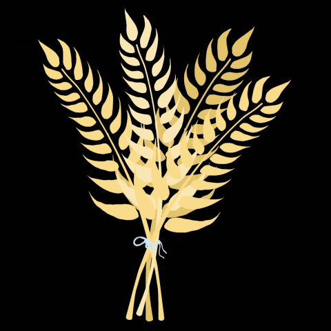 Gif Колосья пшеницы