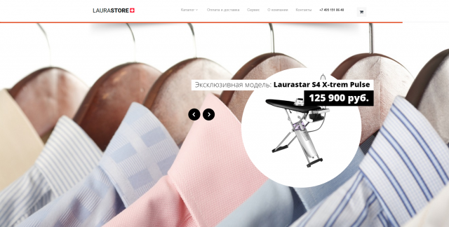 Аудит интернет магазина швейцарских гладильных систем