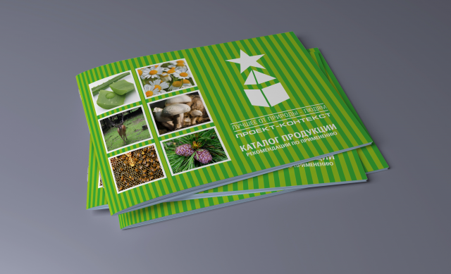 Каталог "Проект-контекст"