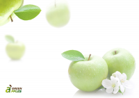 Презентация Green Apples. Шаблон фона слайдов