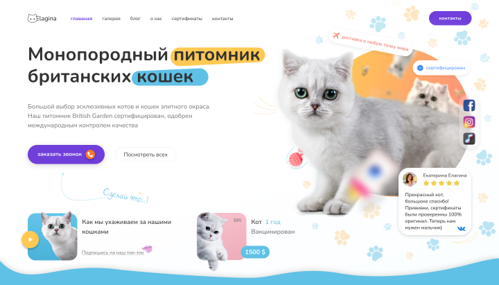 Elagina cat