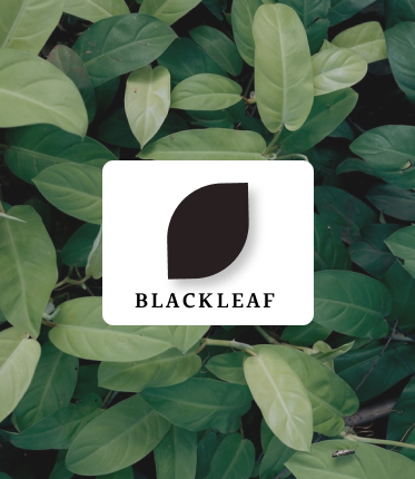 Blackleaf