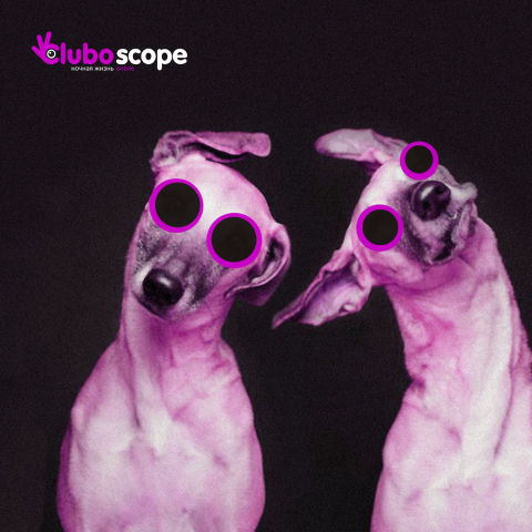 Создание вижуалов для сайта CluboScope
