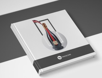 Дизайн макет справочника по российскому вину