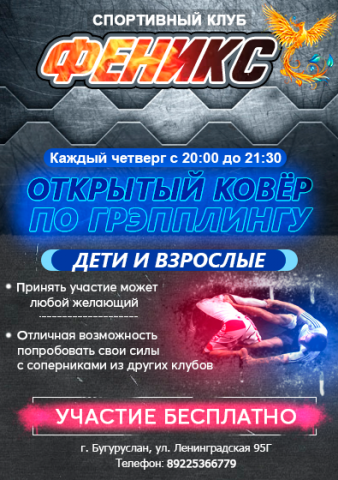 Баннер "Грэпплинг"