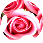 Дизайн сайта для магазина цветов