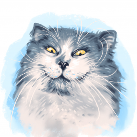 Мемный кот