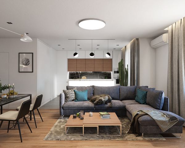 кухня-гостиная