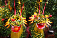 Новый Год во Вьетнаме