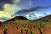 Винные маршруты Испании. Риоха