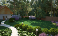 In the garden