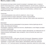 Ветеринария: мастит у кошек и собак