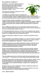 Растения. Как выращивать спатифиллум?