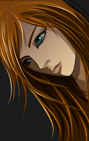 Anime Head 2