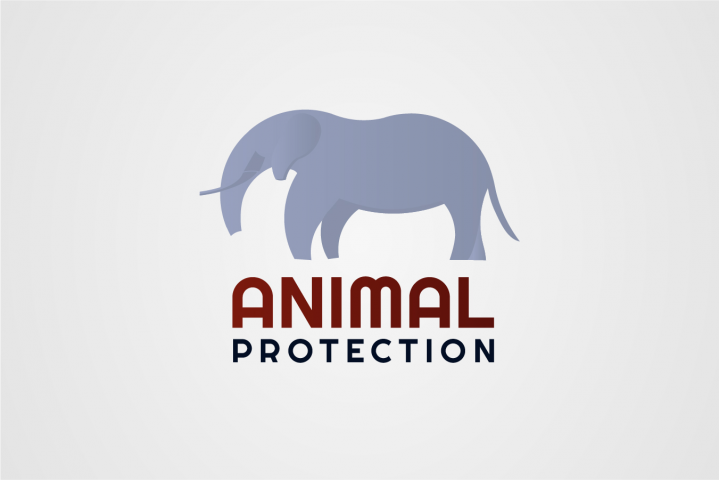 Слон (Animal Protection)