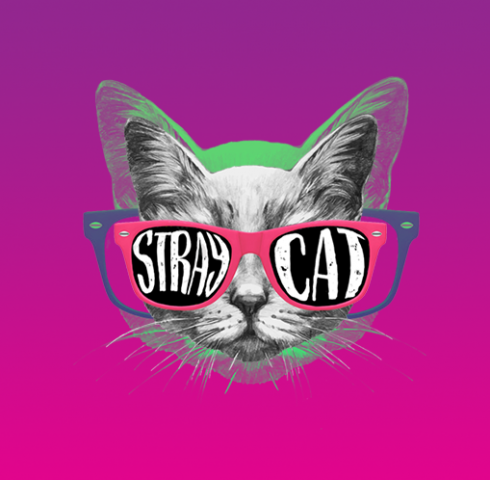 Stray Cat