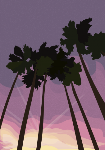 sunset