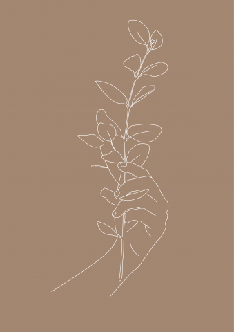 Нежная иллюстрация с веткой